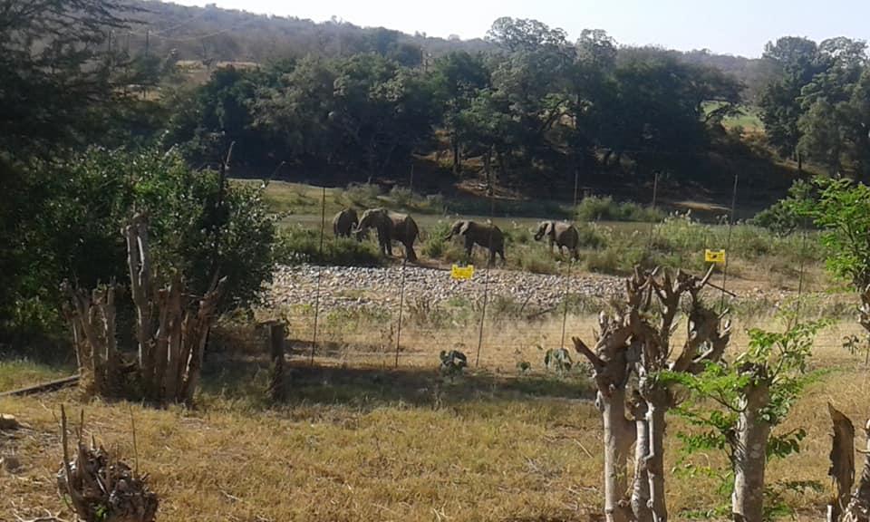 Three Bridges B&B Hoedspruit Esterno foto
